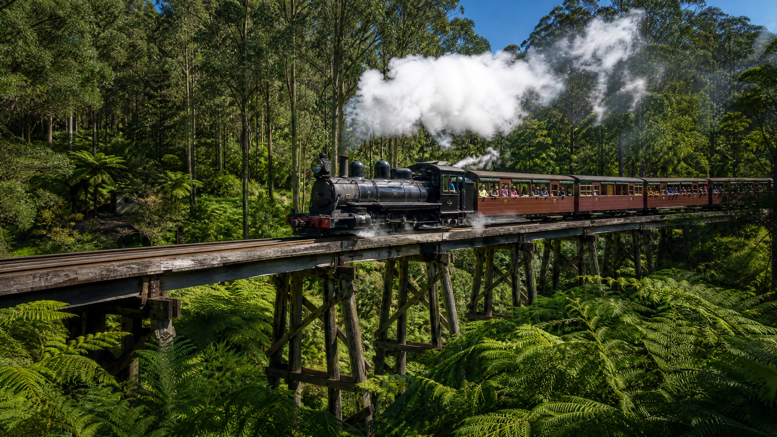 Puffing Billy Steam Train Dandenong Ranges