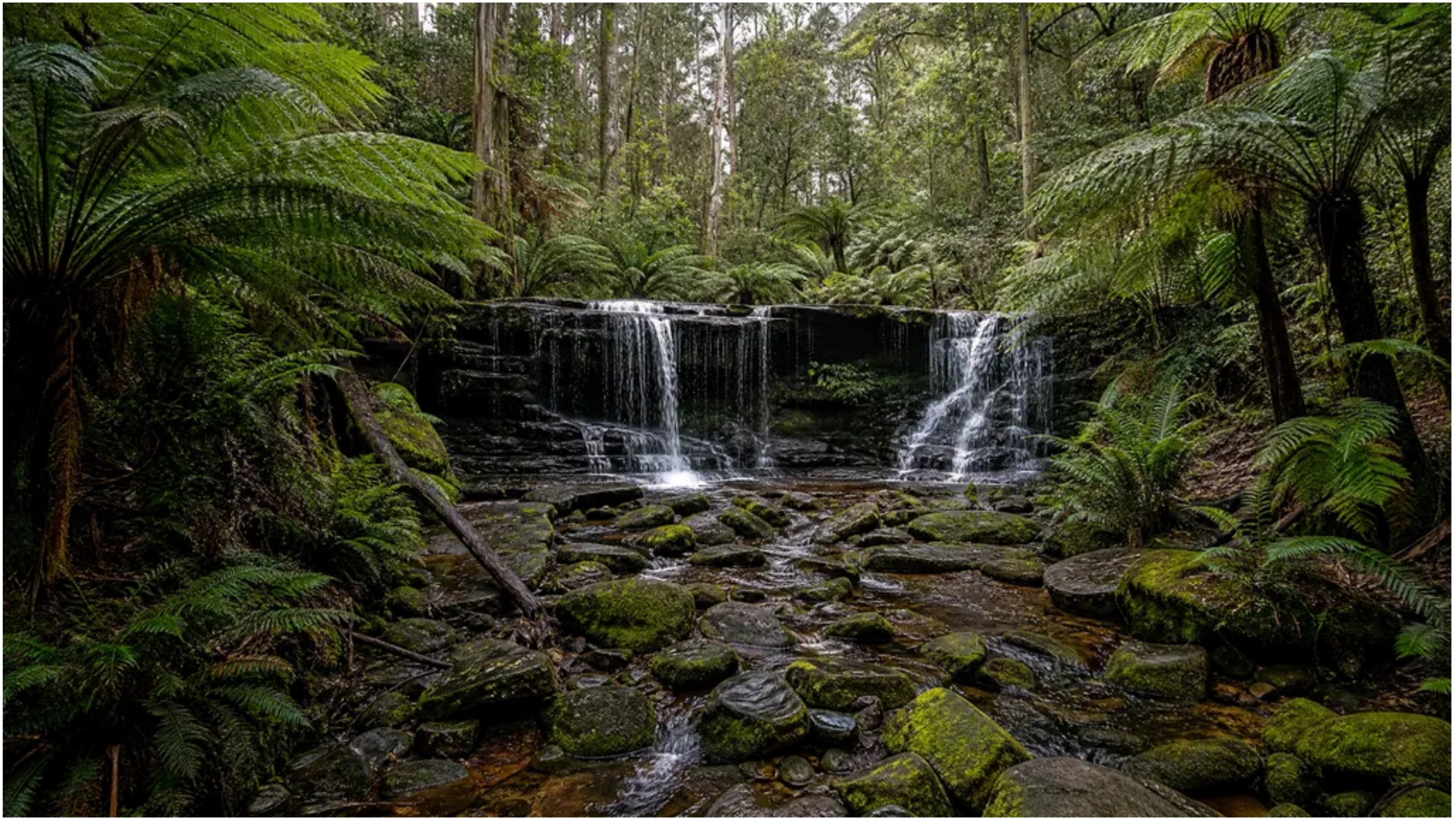 Sherbrooke Falls Dandenong Ranges