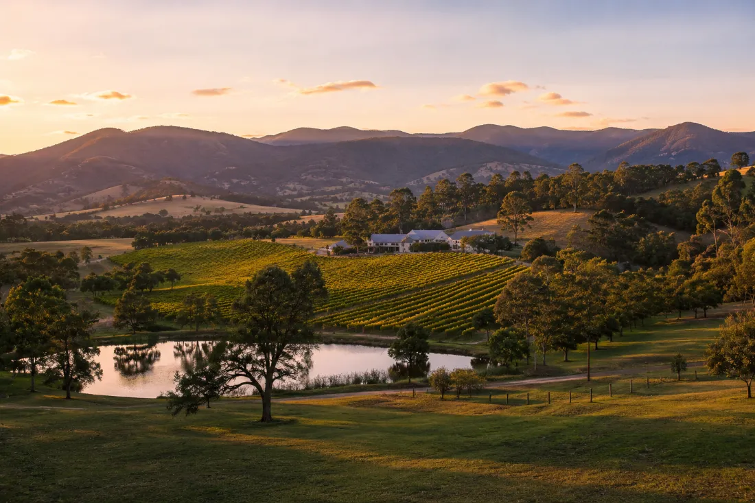 Yarra Valley 3