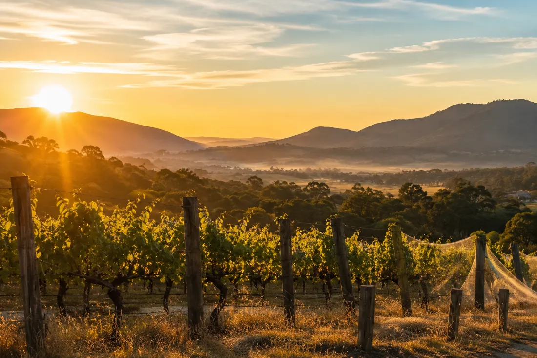 Yarra Valley 1