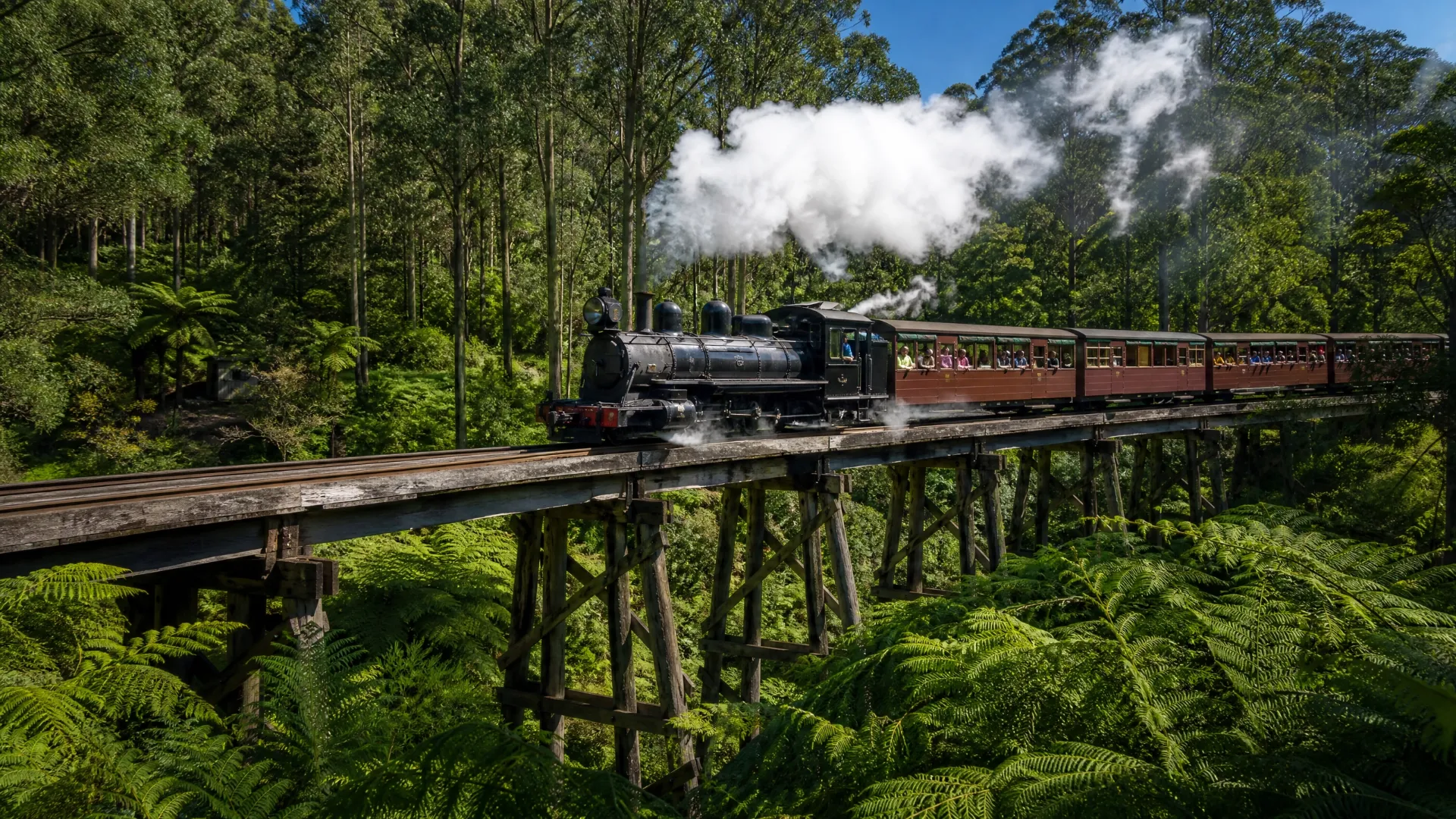 Puffing Billy Steam Train Dandenong Ranges