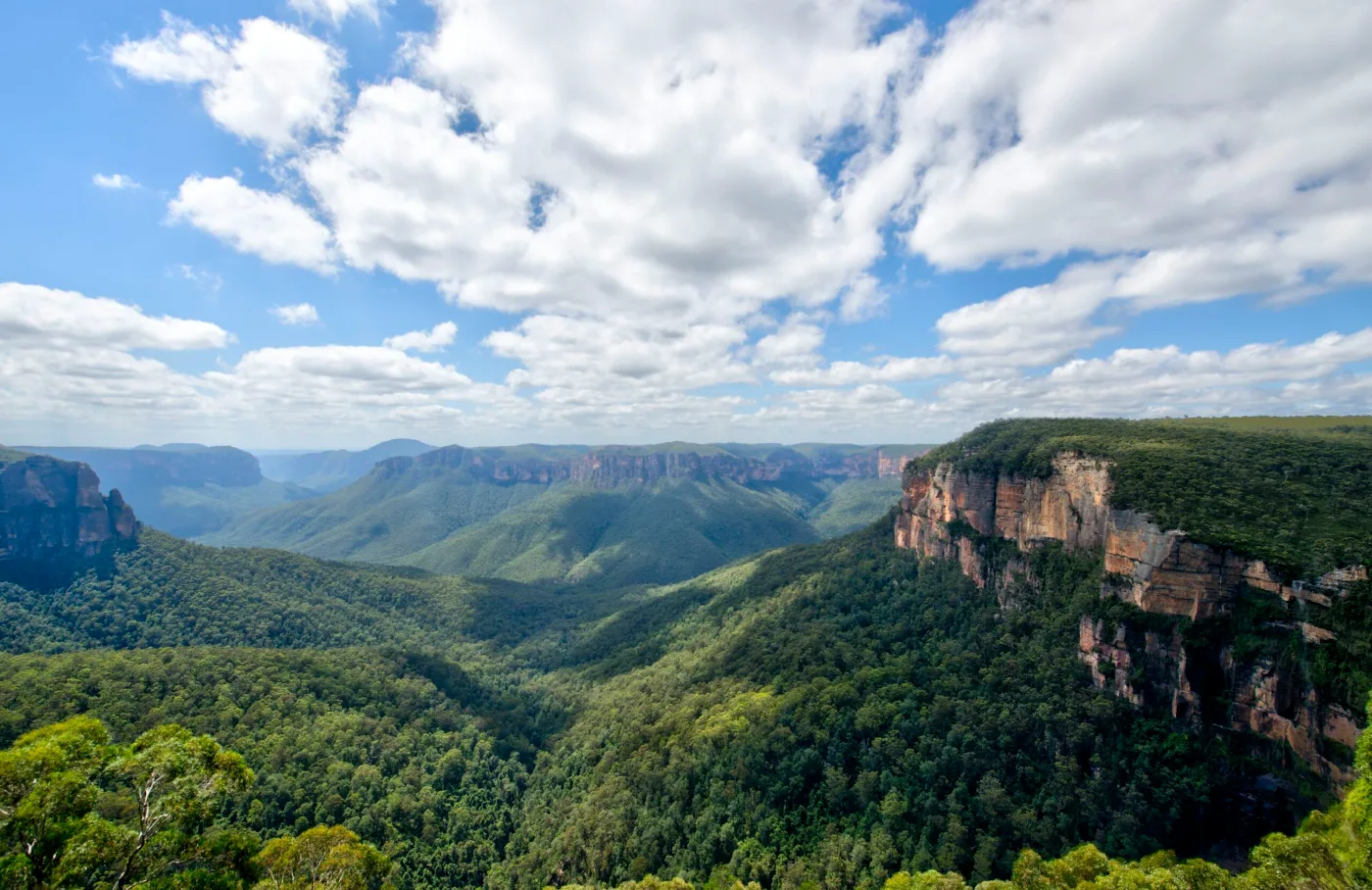 Eucalypt-covered escarpment in the Blue Mountains, New South Wales