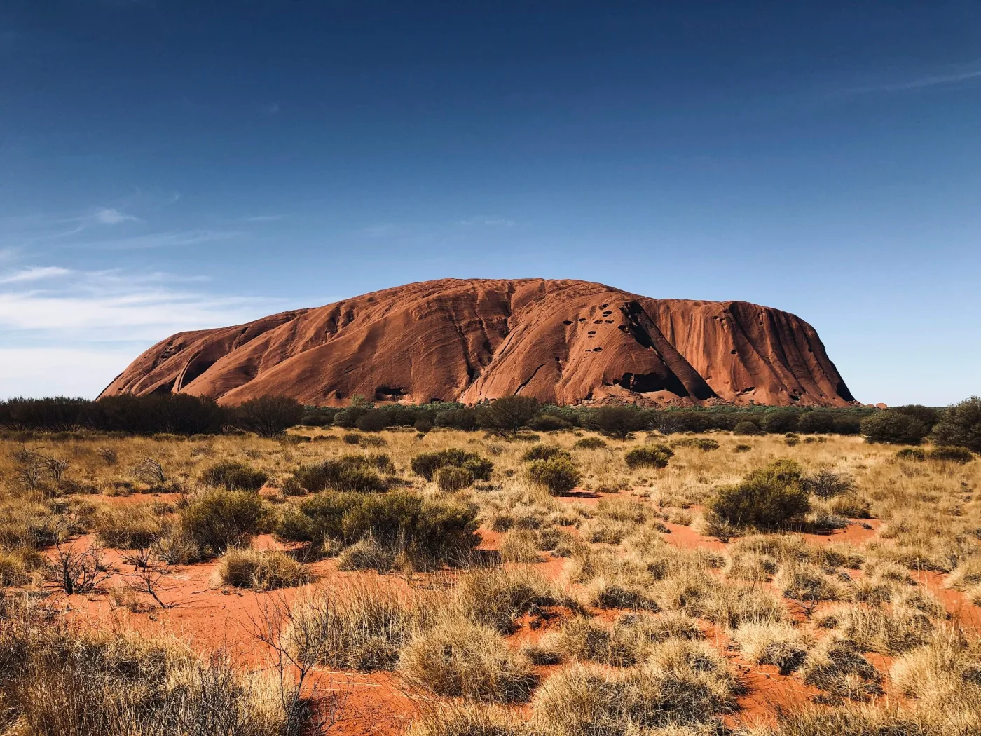 Uluru rising above desert scrub in the Northern Territory